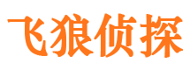 保定私家调查公司